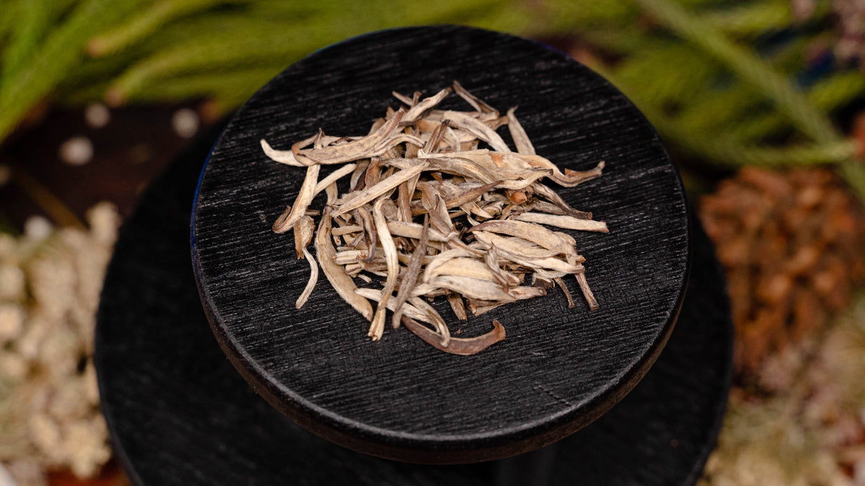 a condemned lily white tea silver needle jasmine