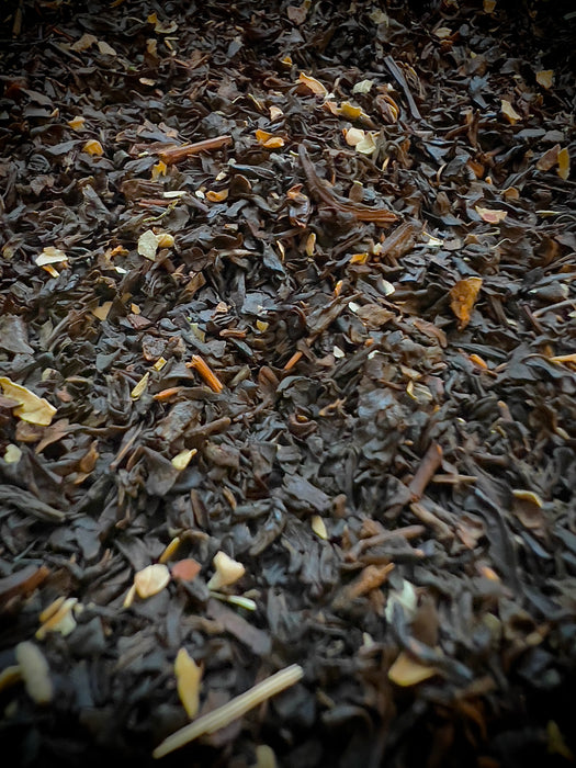black currant black tea