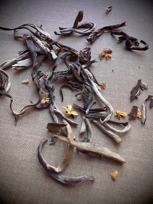 jasmine green tea silver needle white osmanthus floral
