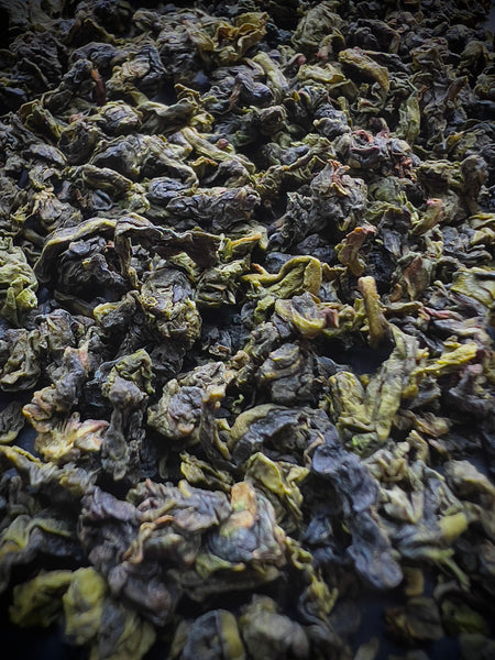 green oolong tieguanyin jungle